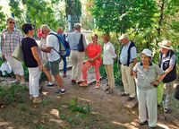 Gruppe beim Rundgang im Garten